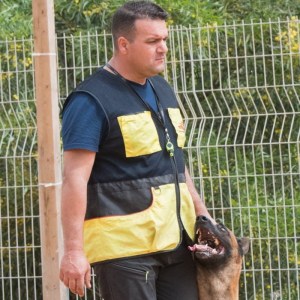 Жилет для дрессировки малинуа бельгийской овчарки